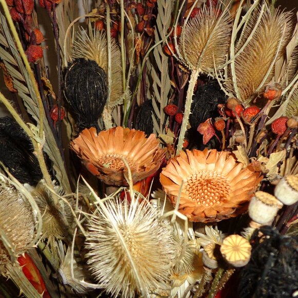 Various Dried & Preserved Flowers & Plants
